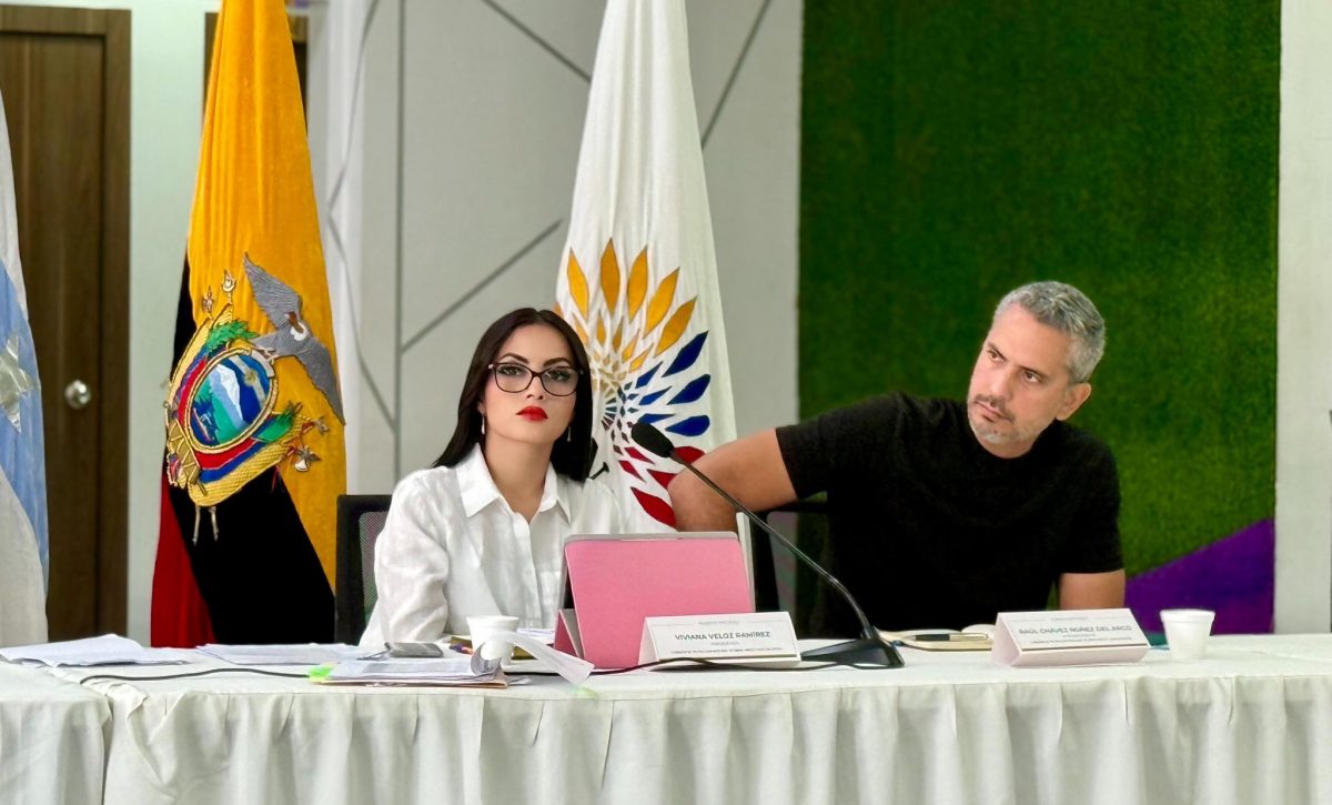 La asambleísta de la Revolución Ciudadana (RC) y presidenta de la Comisión de Protección a Niños, Niñas y Adolescentes, Viviana Veloz. FOTO: @AsambleaEcuador.
