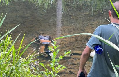 Hallan cadáver de hombre en el río Diablo, parroquia Monterrey, La Concordia