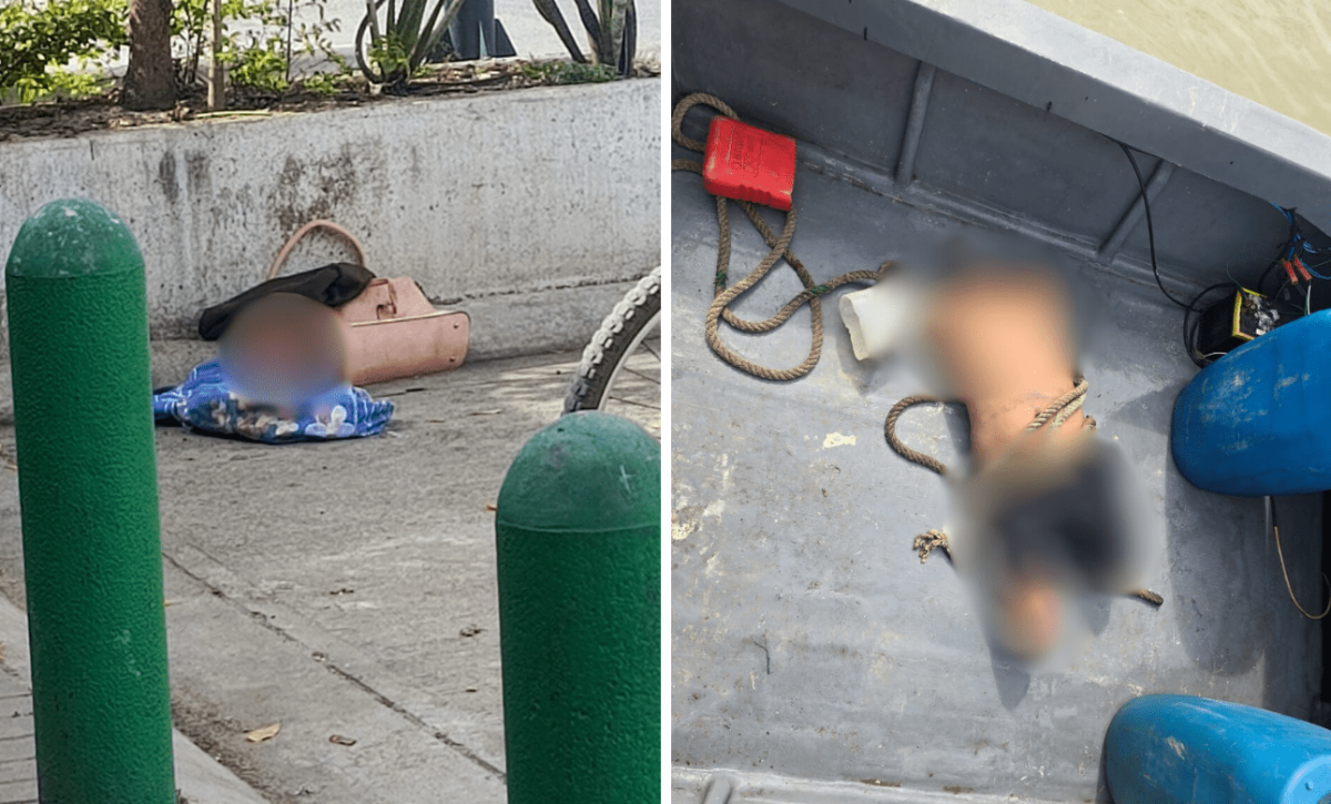 Hallan una cabeza humana y un cuerpo mutilado en diferentes lugares de Sucre, Manabí
