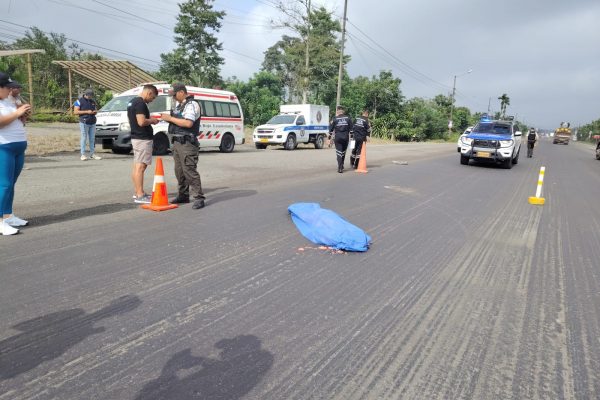 Hombre fallece atropellado en la vía Santo Domingo - Quevedo