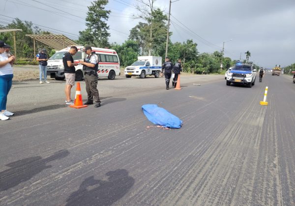 Hombre fallece atropellado en la vía Santo Domingo - Quevedo