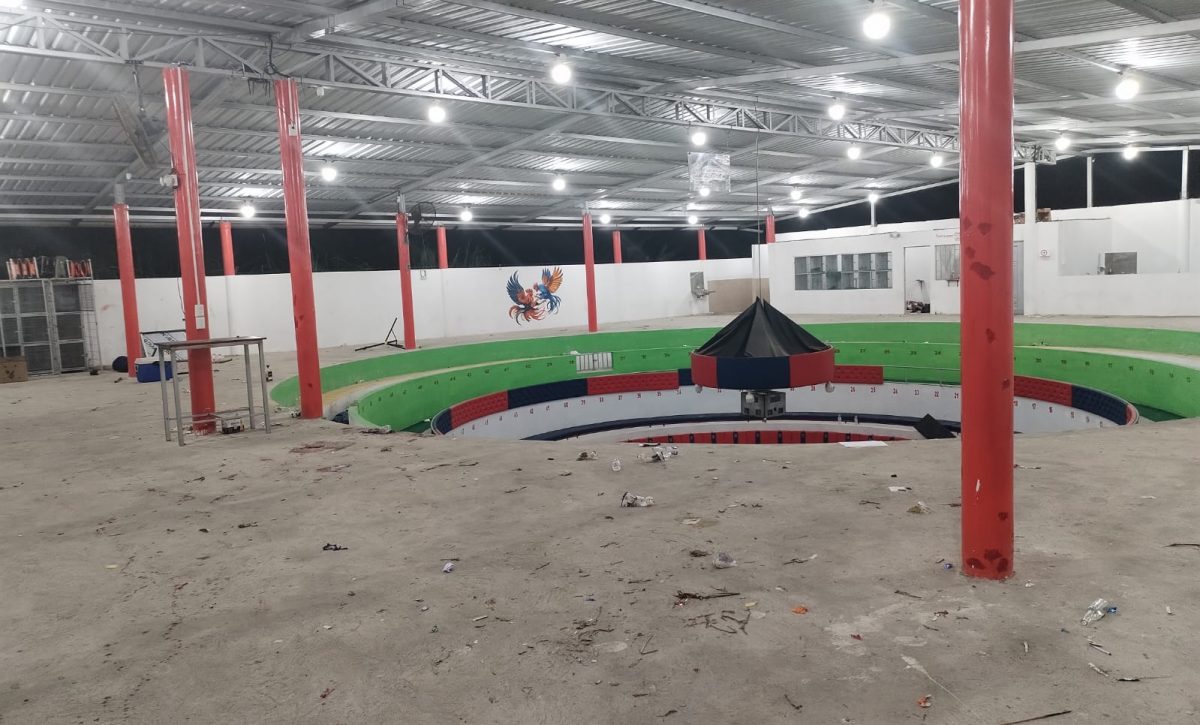 Horror en Viernes Santo falsos militares irrumpen en una gallera y matan al menos a once personas en Santo Domingo