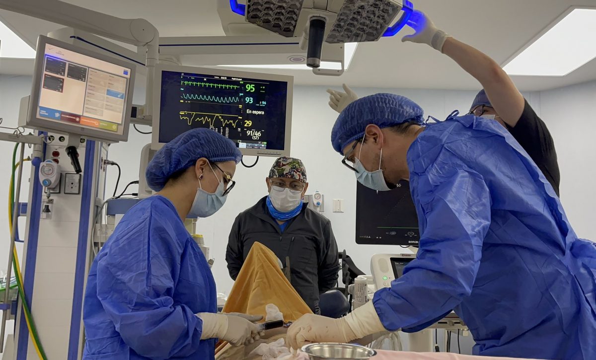 Hospital de Loja realiza primera cirugía compleja de derrame pericárdico en niña de nueve años