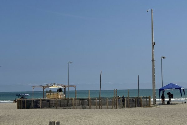 Protección de tortugas marinas impulsa control en la playa