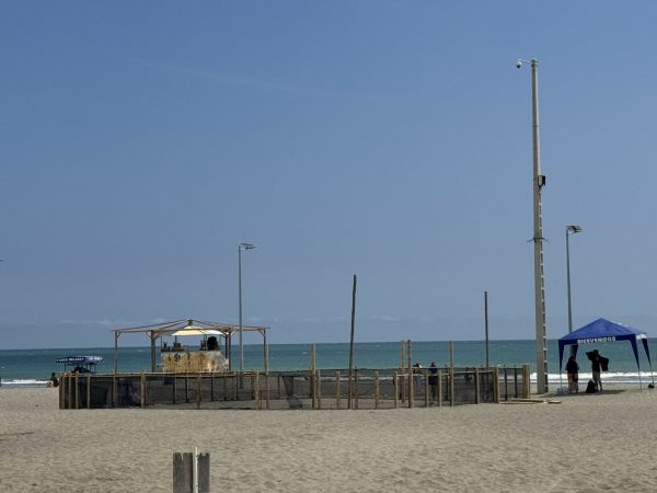 Protección de tortugas marinas impulsa control en la playa
