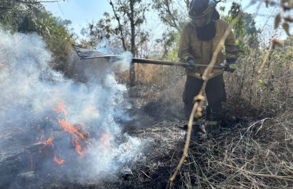 Miembros del Cuerpo de Bombero han atendido las emergencias por incendios forestales.