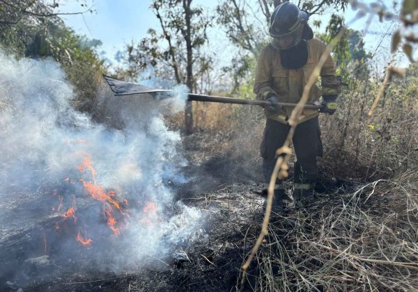 Miembros del Cuerpo de Bombero han atendido las emergencias por incendios forestales.