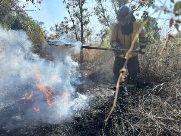 Miembros del Cuerpo de Bombero han atendido las emergencias por incendios forestales.