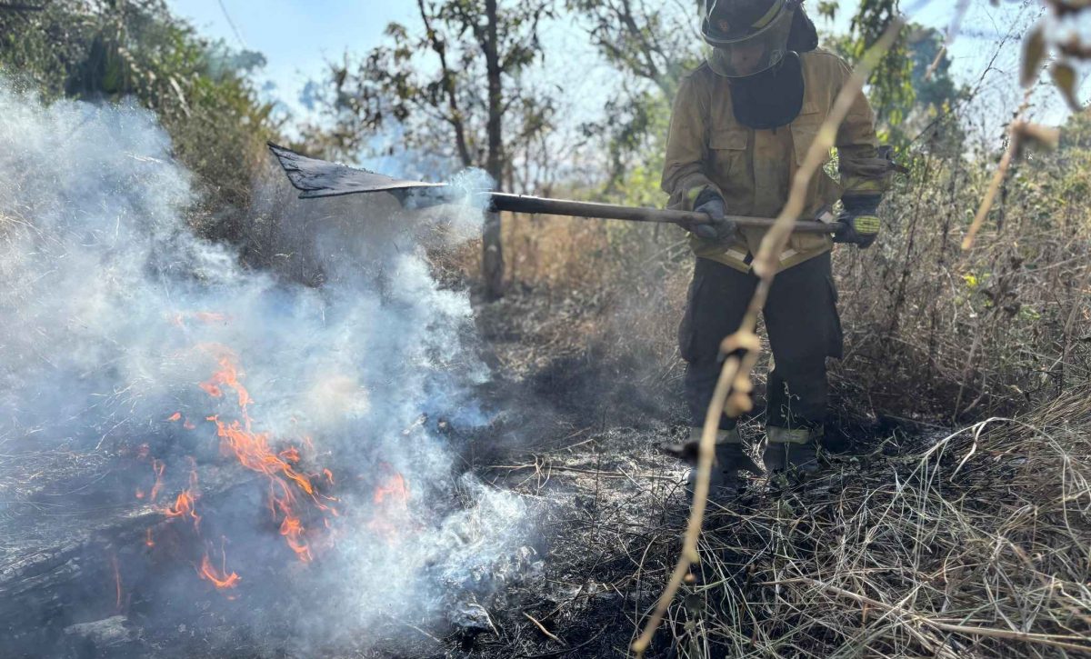 Miembros del Cuerpo de Bombero han atendido las emergencias por incendios forestales.