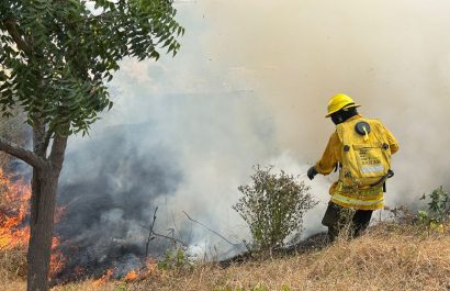 Personal del Cuerpo de Bomberos contrala un incendio forestal.