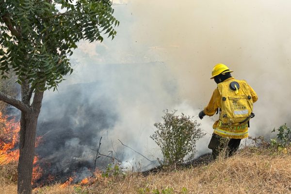 Personal del Cuerpo de Bomberos contrala un incendio forestal.