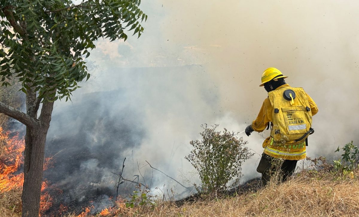 Personal del Cuerpo de Bomberos contrala un incendio forestal.
