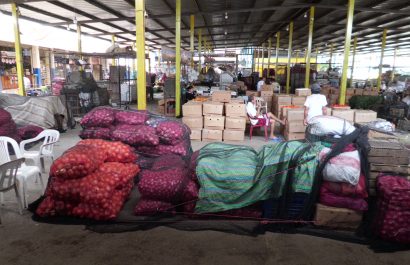 Impacto económico por eliminación del subsidio al diésel en Ecuador será mínimo, según estudio 