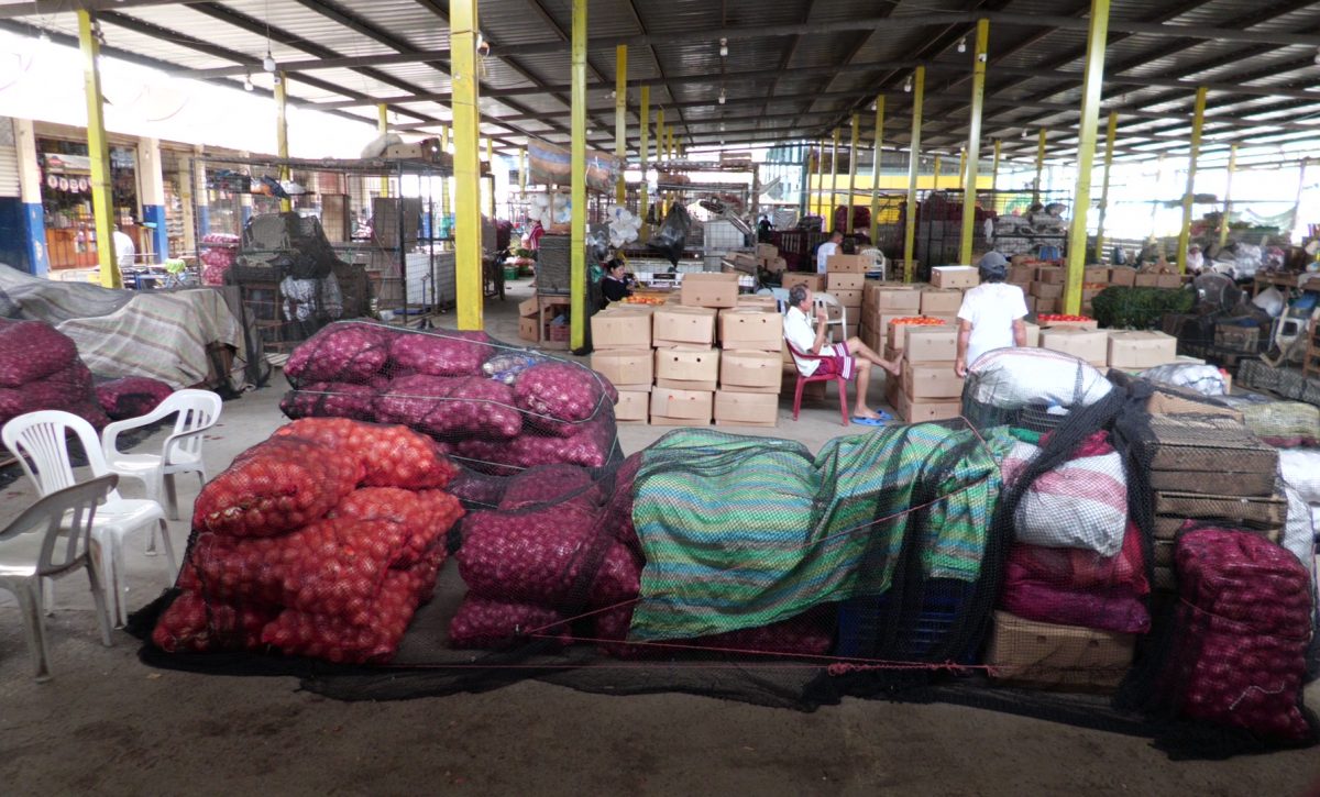 Impacto económico por eliminación del subsidio al diésel en Ecuador será mínimo, según estudio 