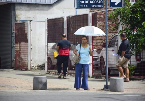 Inamhi alerta por ráfagas de viento y tormentas en Sierra, Amazonía y Costa norte
