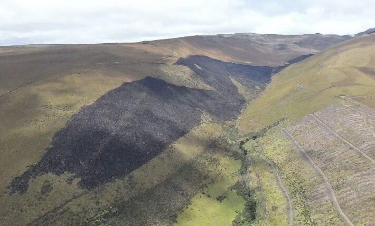 Incendio en el cerro Sincholagua fue controlado tras casi 24 horas de trabajo