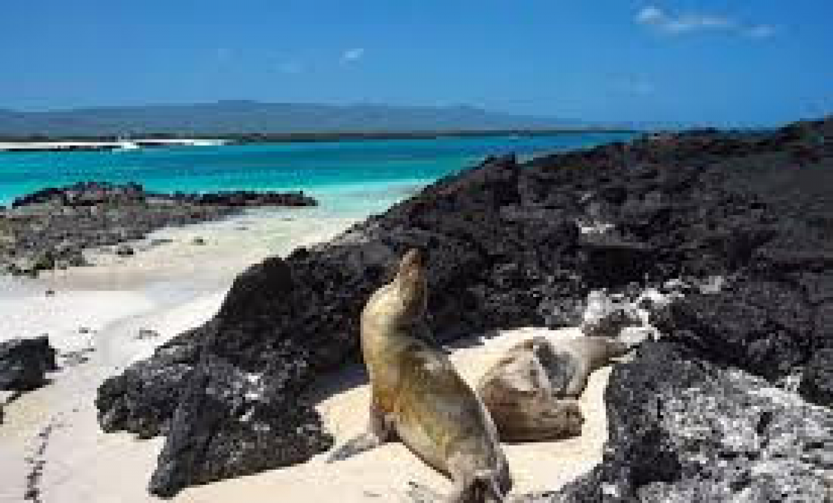 Intereses generales militarización Galápagos violencia problemas turismo Ecuador