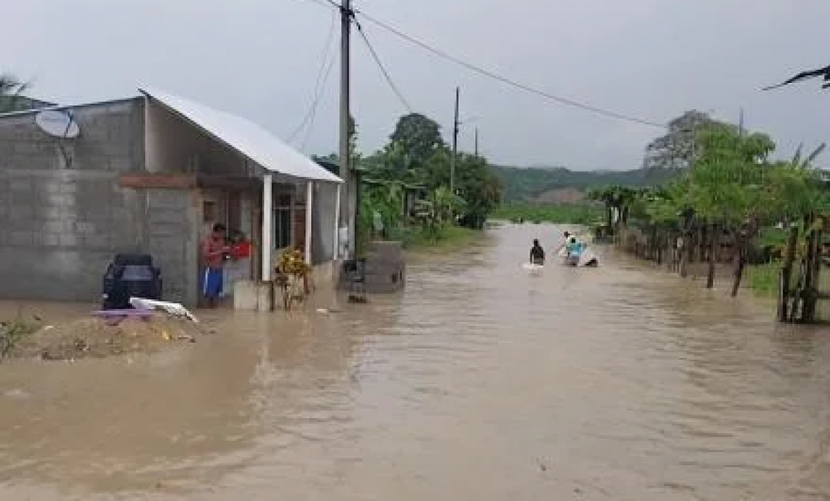 Inundaciones en Atacames generan pérdidas agrícolas por $1 millón y afectan a 200 familias