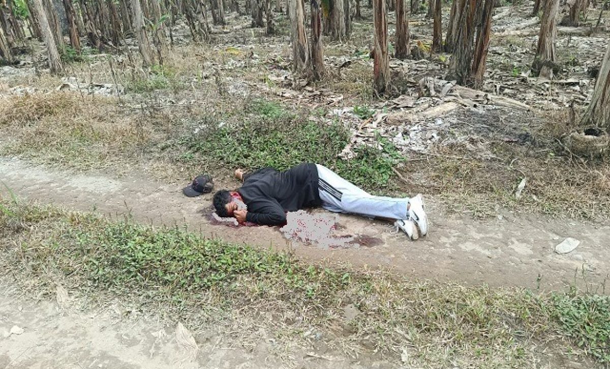 Investigan hallazgo de cadáver con impactos de bala en una finca de El Carmen