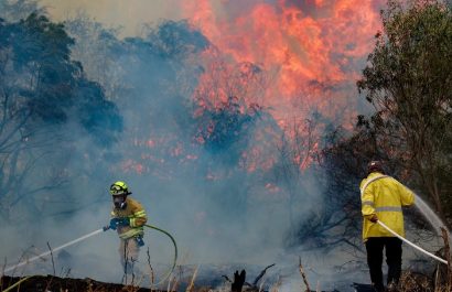 Israel enfrenta una emergencia nacional debido a graves y masivos incendios forestales que se desataron en zonas cercanas a Jerusalén.