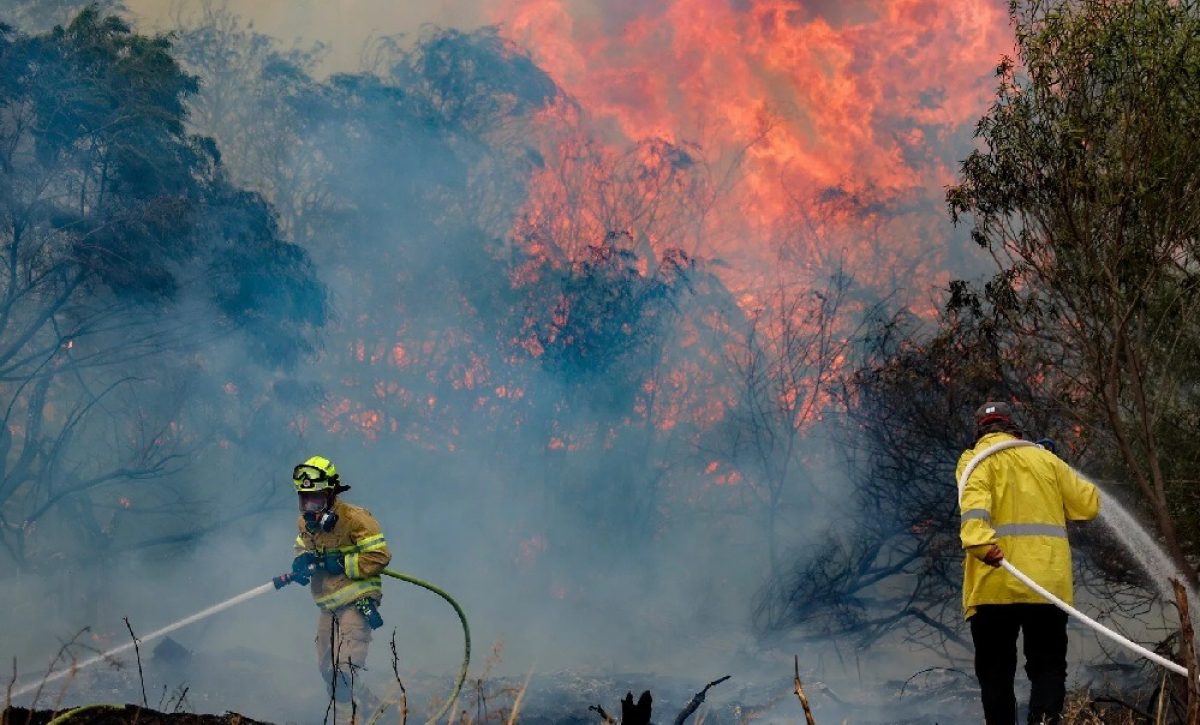 Israel enfrenta una emergencia nacional debido a graves y masivos incendios forestales que se desataron en zonas cercanas a Jerusalén.