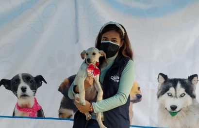 Jornadas masivas de adopción de animales llegan a la Feria del Libro en Quito