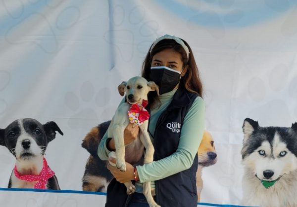 Jornadas masivas de adopción de animales llegan a la Feria del Libro en Quito