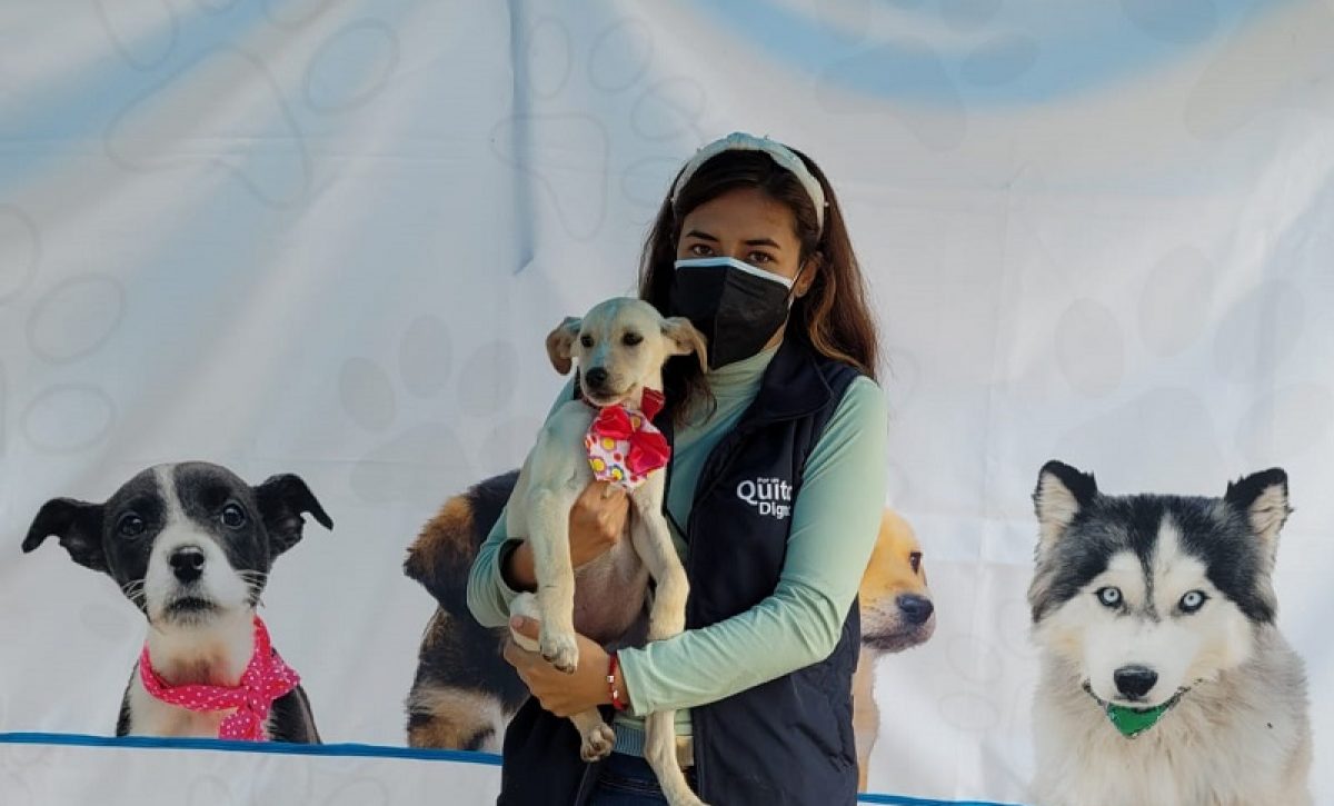 Jornadas masivas de adopción de animales llegan a la Feria del Libro en Quito