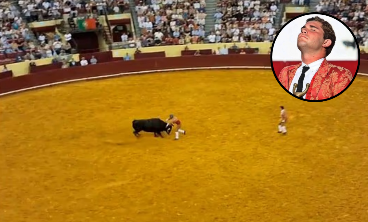 Joven torero muere tras ser embestido por un toro de 700 kilos en su debut