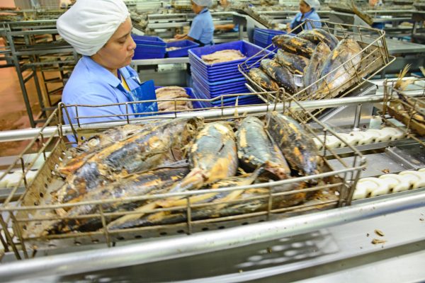 Detrás de cada tonelada está el trabajo invisible de más de 12.000 mujeres.