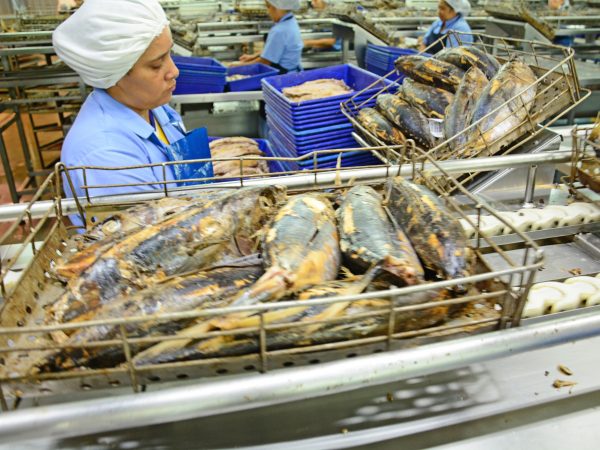 Detrás de cada tonelada está el trabajo invisible de más de 12.000 mujeres.