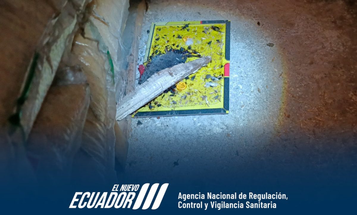 La Arcsa clausura una envasadora de alimentos en Cuenca por supuesta insalubridad y presencia de plagas