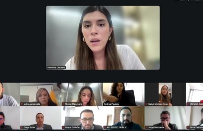 La Asamblea aprueba primer debate para proyecto sobre fortalecimiento de gestión pública. (Asamblea Nacional).