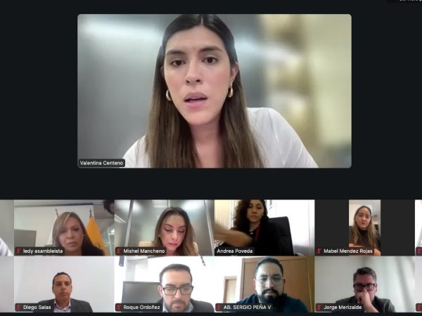 La Asamblea aprueba primer debate para proyecto sobre fortalecimiento de gestión pública. (Asamblea Nacional).