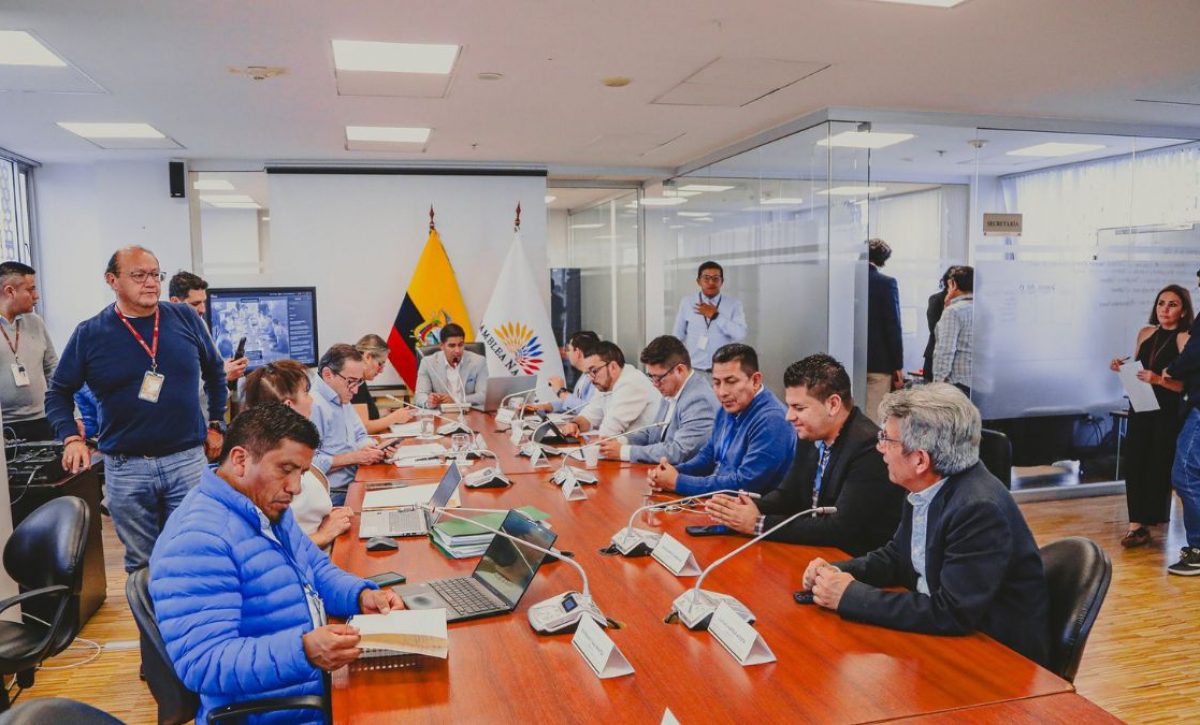 La Comisión de Garantías Constitucionales investigará elecciones artesanales y el caso Fortunario en Ecuador. (AN).
