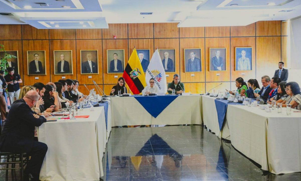 La Comisión de Niñez examina la inacción estatal ante casos de violencia sexual en el ámbito institucional. (AN)