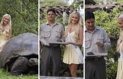 La Miss Universo 2024 apadrinó a una tortuga de Galápagos; la llamó Esperanza