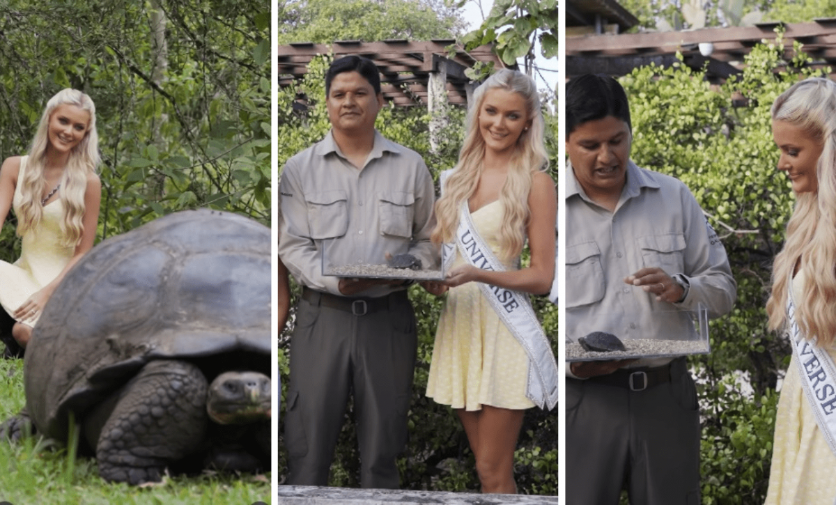 La Miss Universo 2024 apadrinó a una tortuga de Galápagos; la llamó Esperanza
