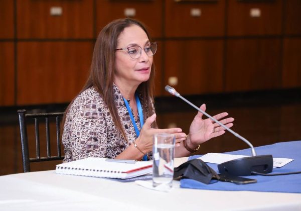 La asambleísta Pierina Correa.