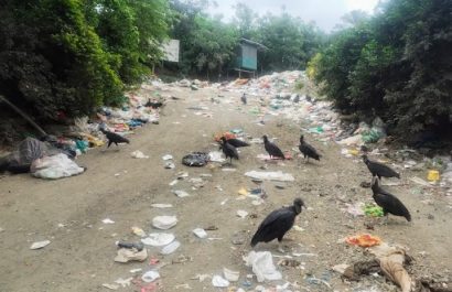 La basura regada en el ingreso al vertedero, donde se observan aves de rapiña.
