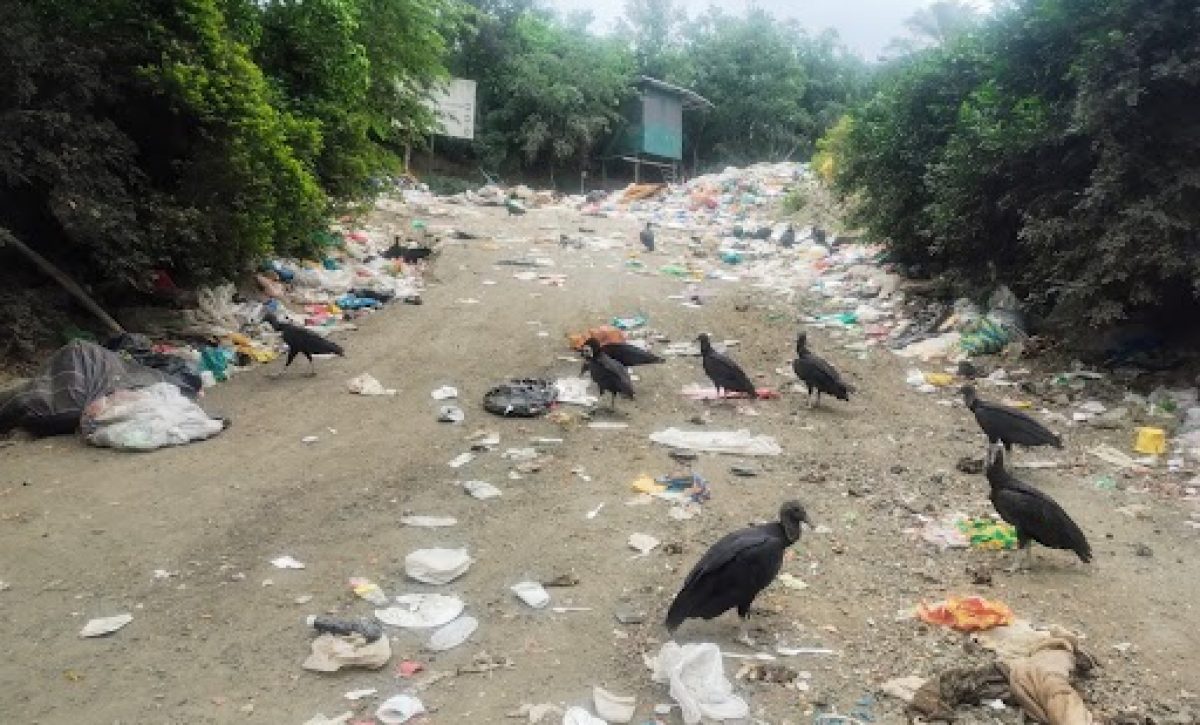 La basura regada en el ingreso al vertedero, donde se observan aves de rapiña.