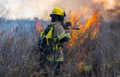 La deforestación y los incendios representan entre el 12 % y el 20 % de las emisiones mundiales de CO₂.