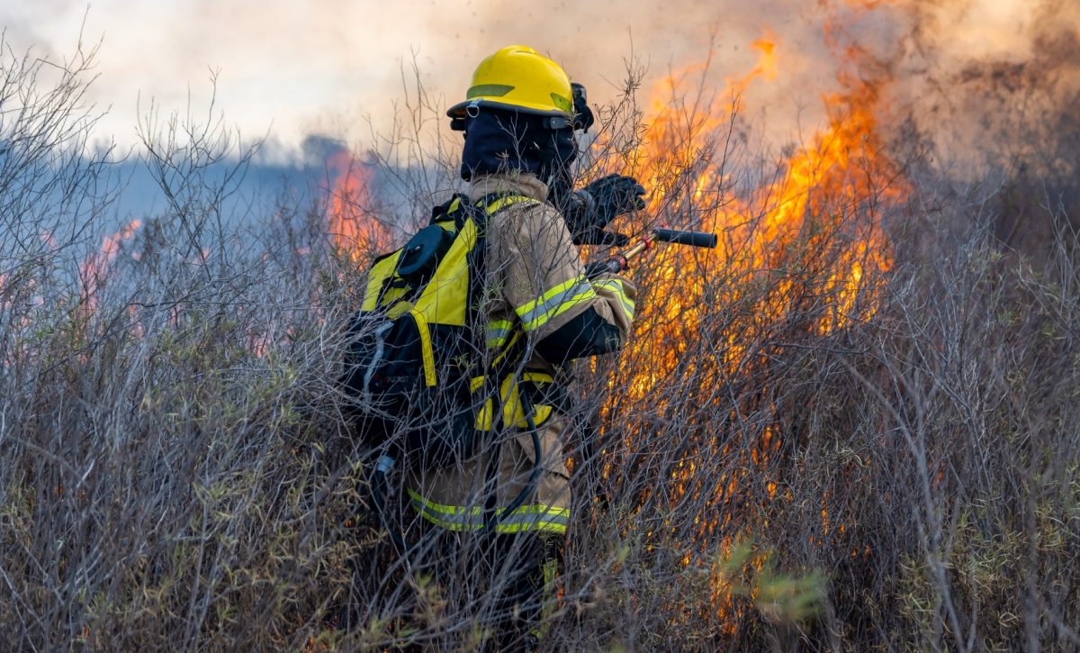 La deforestación y los incendios representan entre el 12 % y el 20 % de las emisiones mundiales de CO₂.