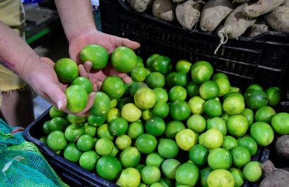 La escasez de limón en esta parte del año se debe al frío o bajas temperaturas, que afectan la floración y fecundación del fruto