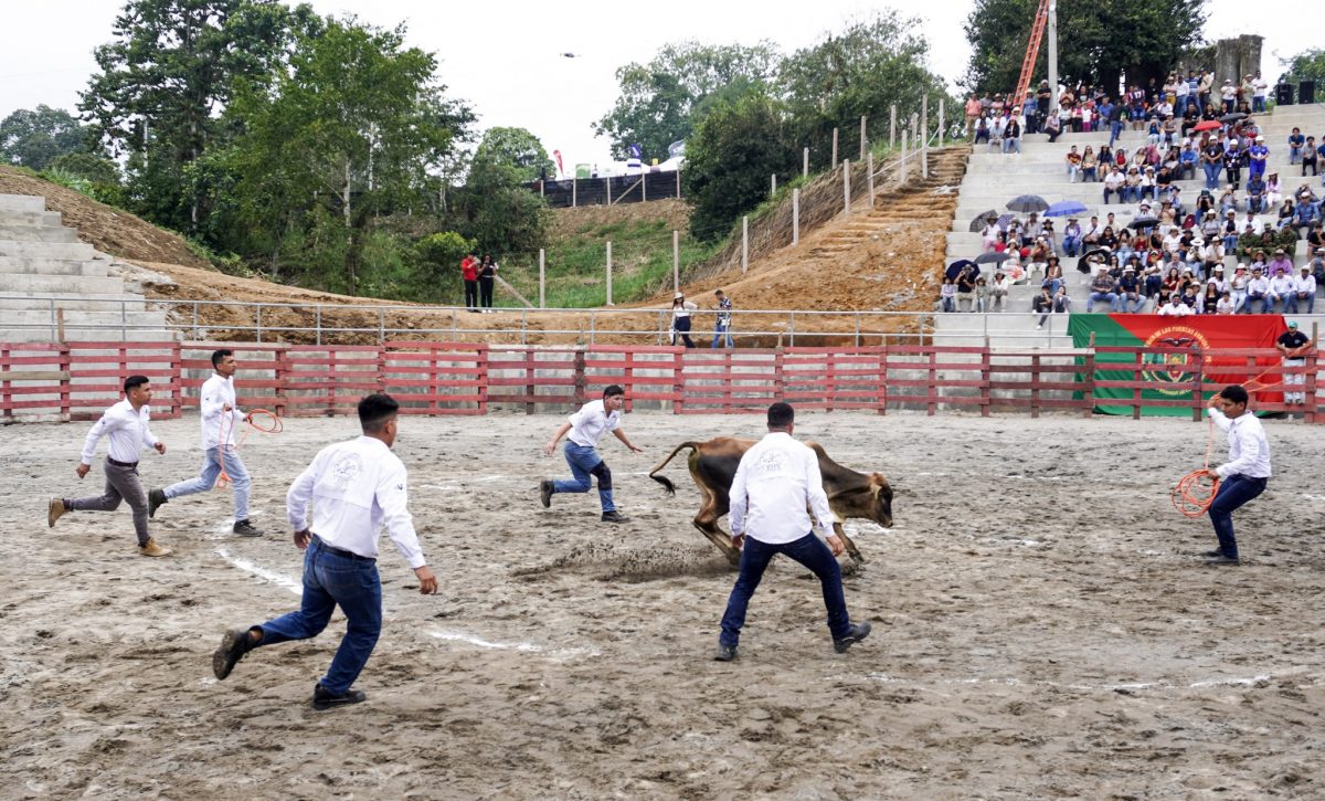 La feria ganadera Expogan Ecuador 2025 impulsó el sector pecuario nacional desde su nueva sede