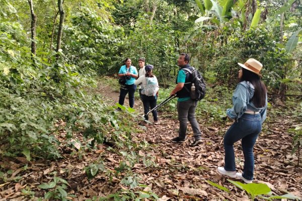 La reserva Cocoi, una nueva ruta de aviturismo se abre al mundo desde el cantón Bolívar, en la provincia de Manabí.