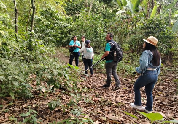 La reserva Cocoi, una nueva ruta de aviturismo se abre al mundo desde el cantón Bolívar, en la provincia de Manabí.