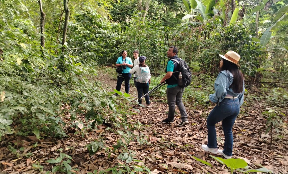 La reserva Cocoi, una nueva ruta de aviturismo se abre al mundo desde el cantón Bolívar, en la provincia de Manabí.