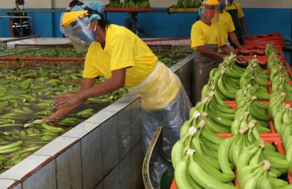 Las exportaciones de Ecuador alcanzaron los 6.154 millones de dólares en los dos primeros meses de 2025.