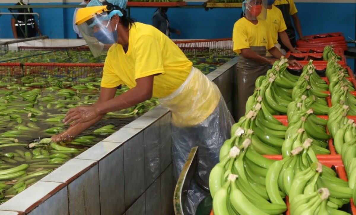 Las exportaciones de Ecuador alcanzaron los 6.154 millones de dólares en los dos primeros meses de 2025.